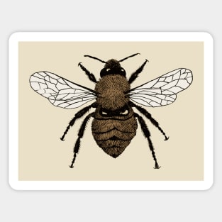 Bumblebee Sticker